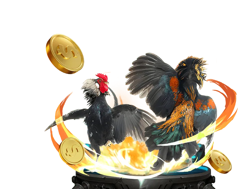 Ưu điểm khi tham gia đá gà tại Nhà Cái iBet