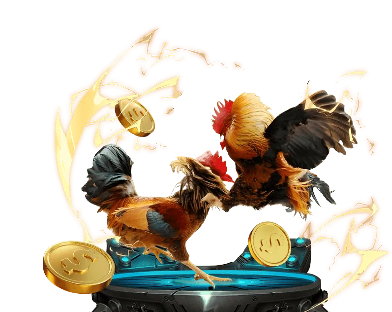 Hướng dẫn chọn nhà cái uy tín